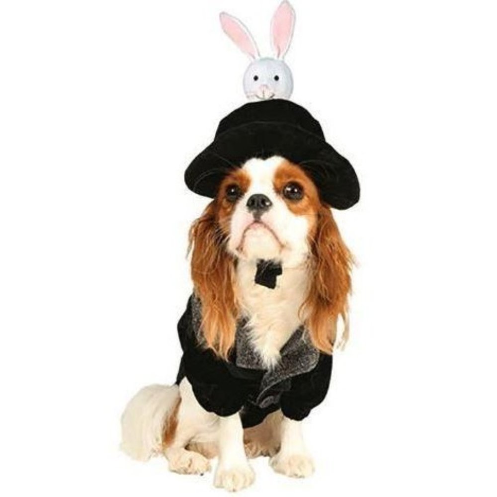 Hat Trick Magician Pet Costume Small